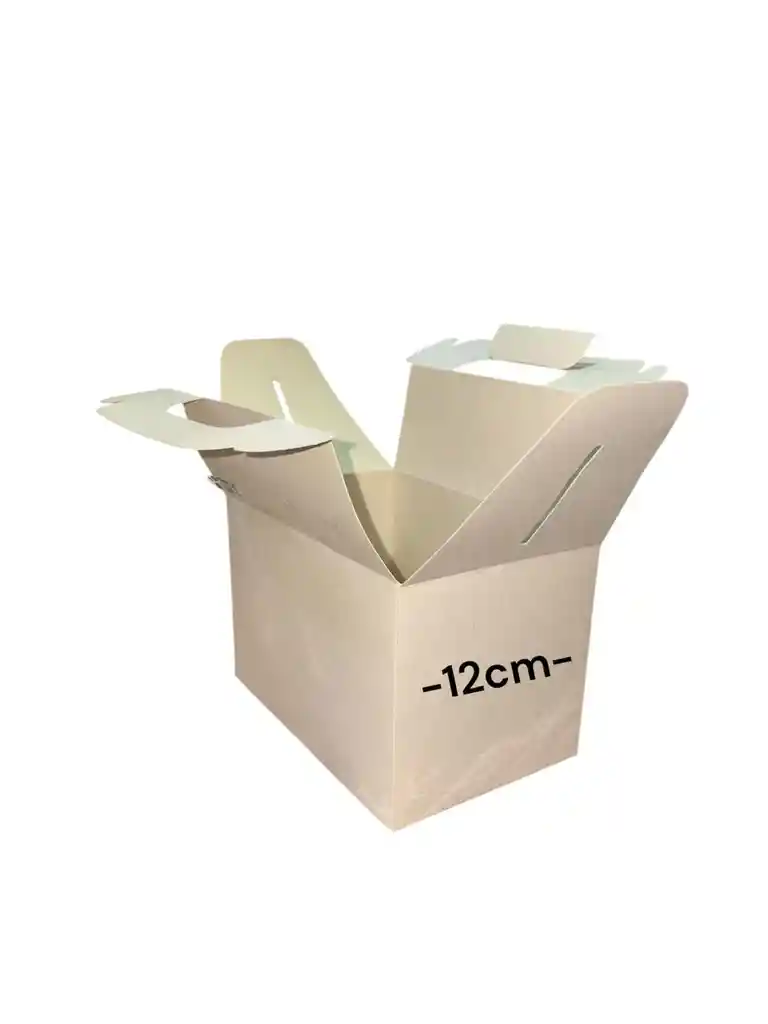 Caja En Carton Cartulina Maletin 18x12x12