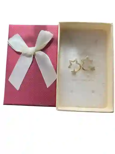Aretes Tipo Topo En Forma De Candonga De Estrella Brillante En Acero