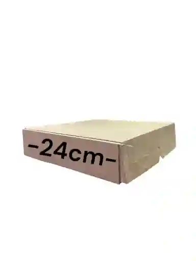 Caja En Carton Microcorrugado 24x24x6cm Plegable