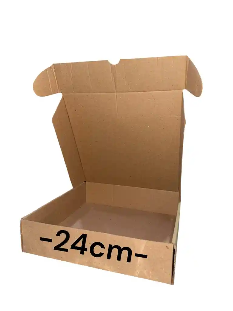 Caja En Carton Microcorrugado 24x24x6cm Plegable