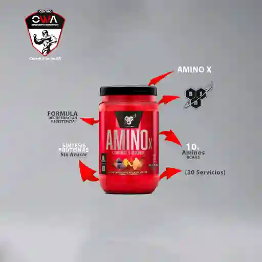 Amino X