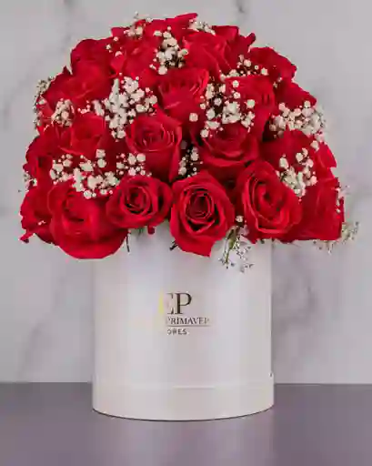 Cilindro Mediano Solo Rosas Plus