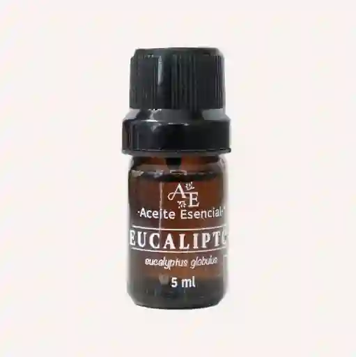 Aceite Esencial De Eucalipto Ananda