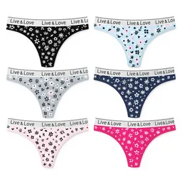 Dos Panty Hilo Algodon Surtidos Talla M