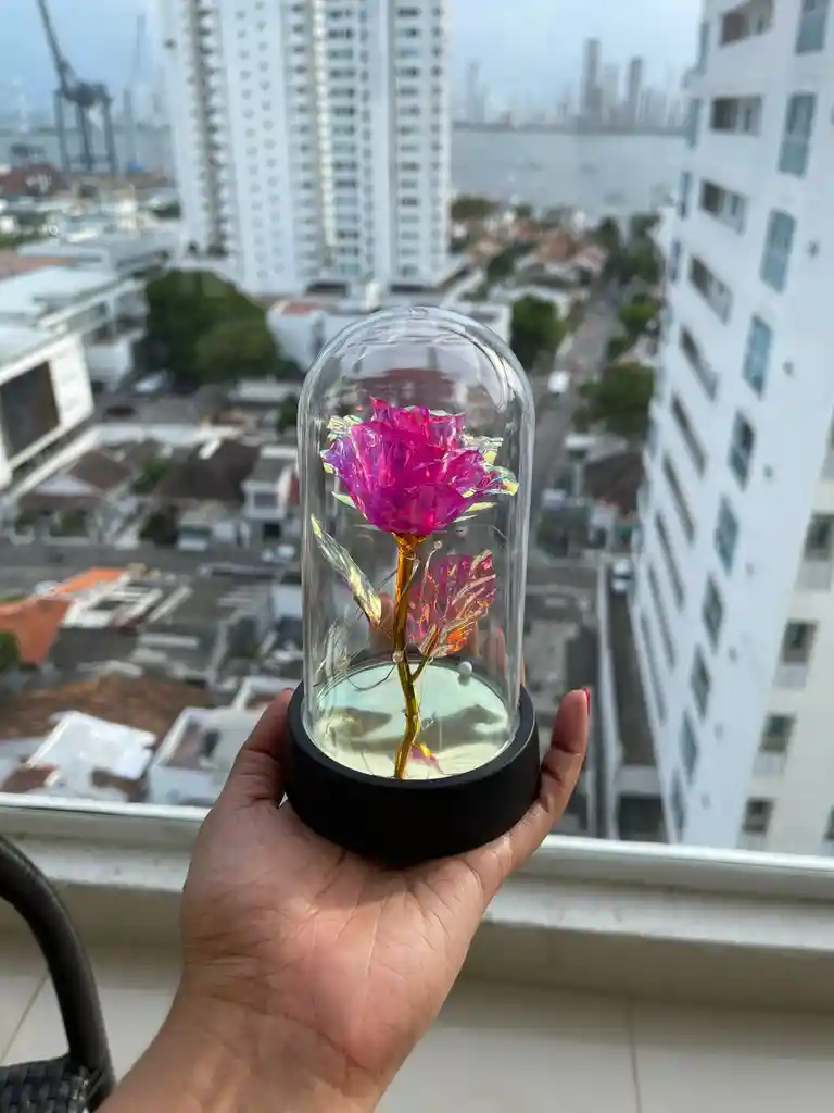 Rosa Eterna En Domo De Vidrio Con Luz Led