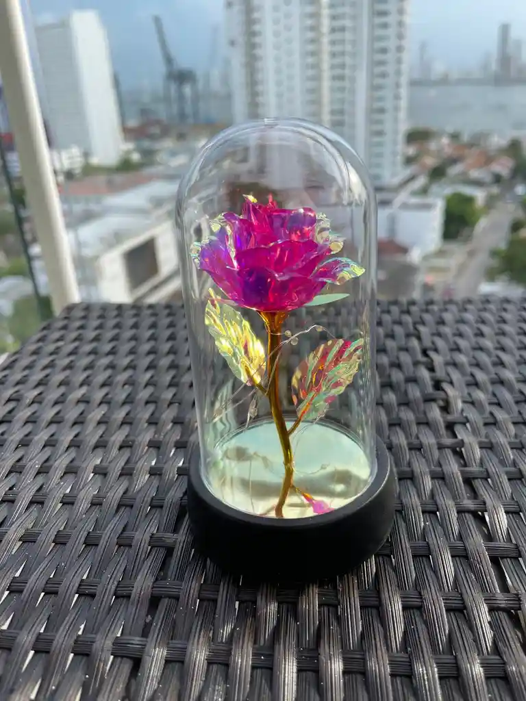 Rosa Eterna En Domo De Vidrio Con Luz Led