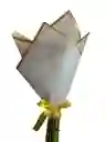 Mini Girasoles