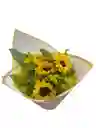Mini Girasoles