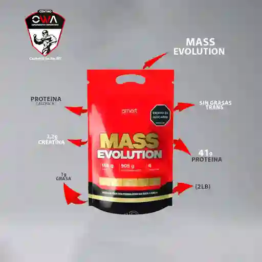 Mass Evolution