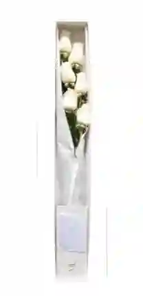 Caja 6 Rosas Blancas