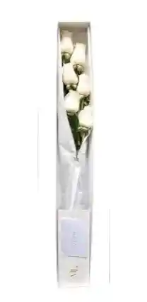 Caja 6 Rosas Blancas