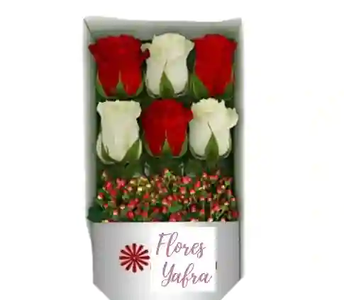 Caja 6 Rosas Blancas Y Rojas