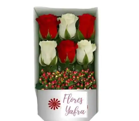 Caja 6 Rosas Blancas Y Rojas