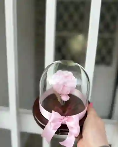 Flor Peonia Rosada
