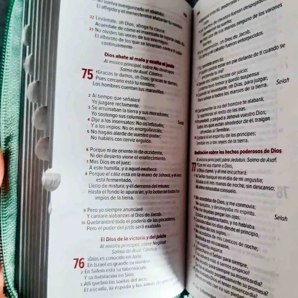Biblia Tipo Chequera Rvr60 Verde Índice Cierre