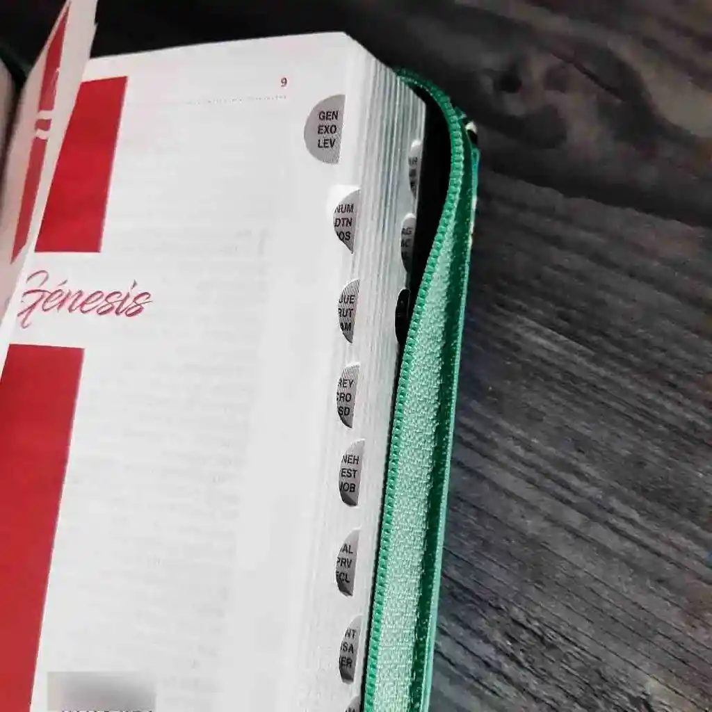Biblia Tipo Chequera Rvr60 Verde Índice Cierre