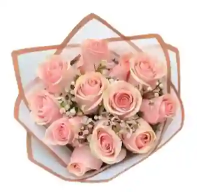 Ramo O Bouquet Redondo De 12 Rosadas