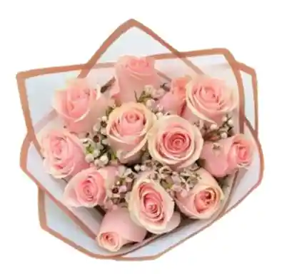 Ramo O Bouquet Redondo De 12 Rosadas