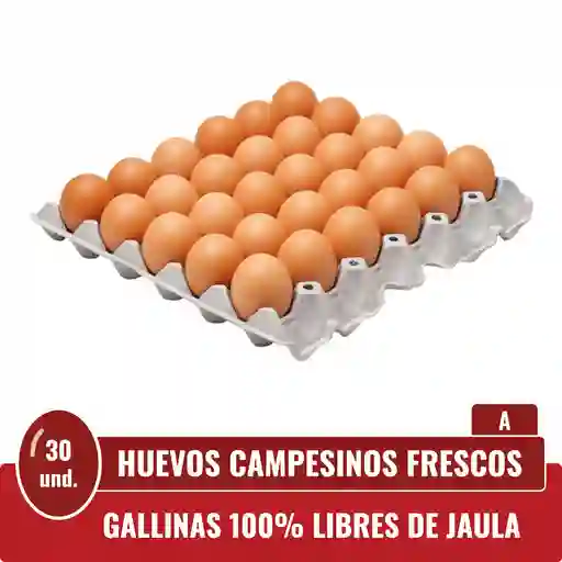 Huevos A Rojos X 30 Und