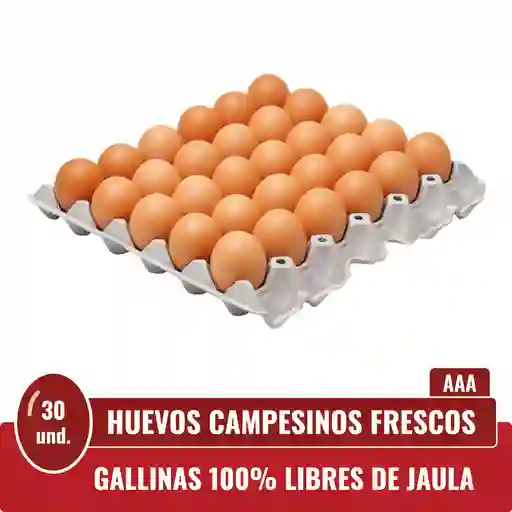 Huevos Triple A Rojos X 30 Und