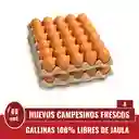Huevos A Rojos X 60 Und