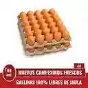 Huevos Doble A Rojos X 60 Und