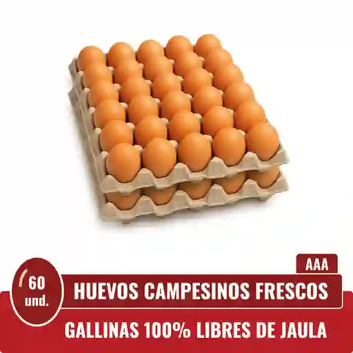 Huevos Triple A Rojos X 60 Und