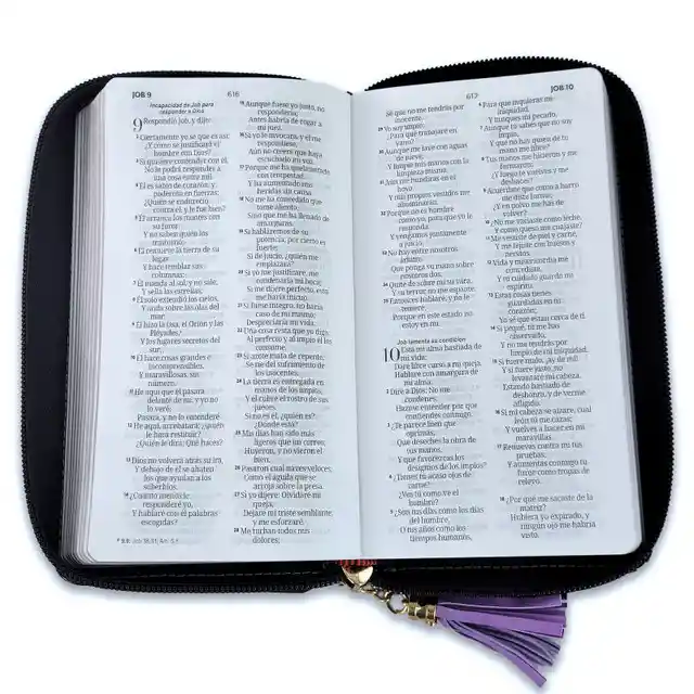 Biblia Rvr 1960 Chequera Lila-negro Cierre