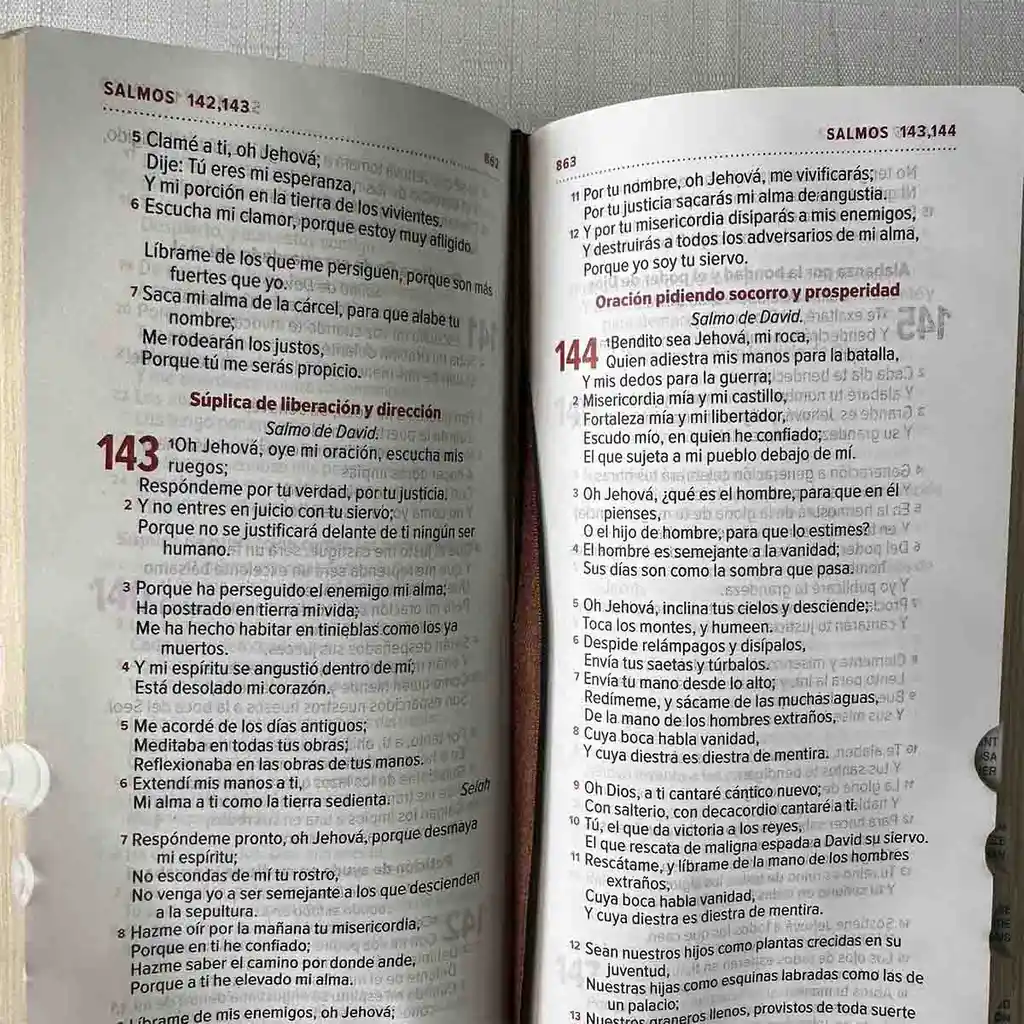 Biblia Reina Valera 1960 Tipo Agenda Café Para Hombres – Chequera – Canto Dorado Qr