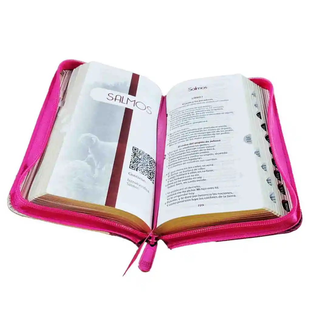 Biblia Rvr60 Tipo Chequera Magenta Beige Índice Cierre