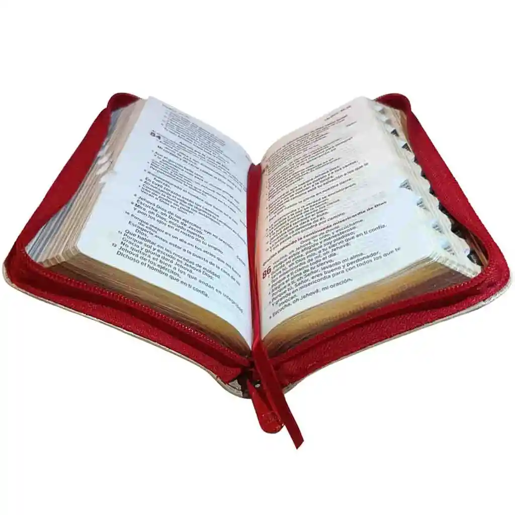 Biblia Reina Valera 1960 Rojo Beige Canto Dorado – Tipo Agendas – Chequera