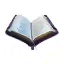 Biblia Reina Valera 1960 Morado Beige Canto Dorado – Tipo Agenda – Chequera