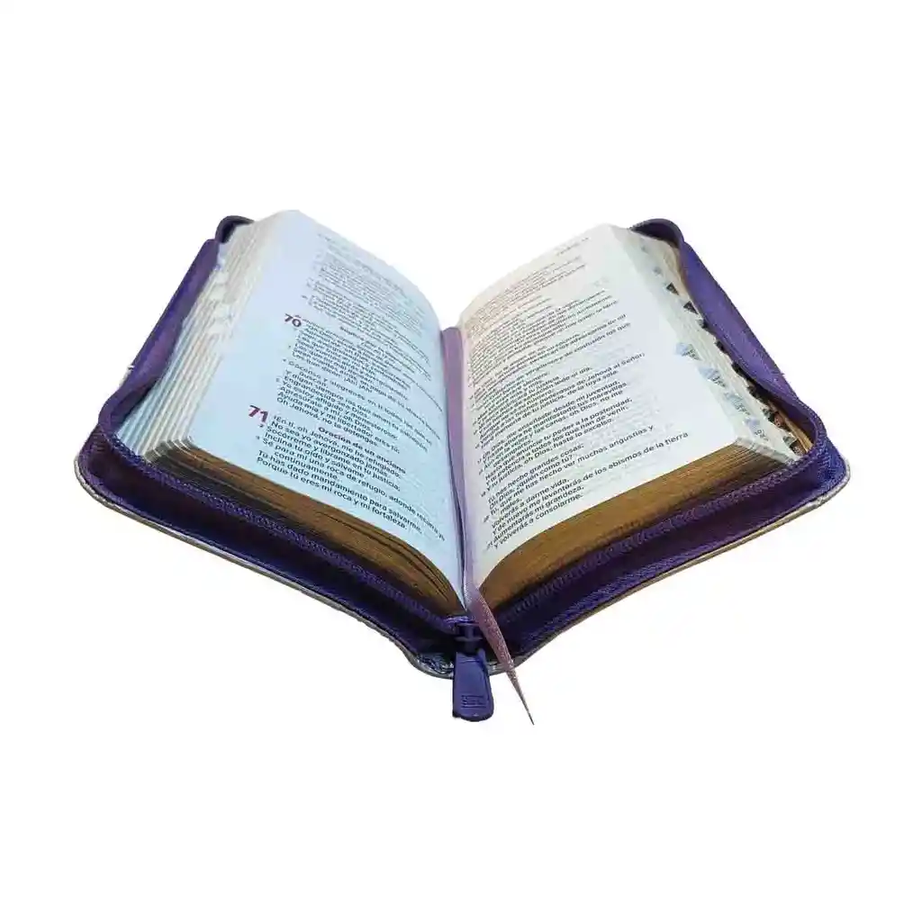 Biblia Reina Valera 1960 Morado Beige Canto Dorado – Tipo Agenda – Chequera