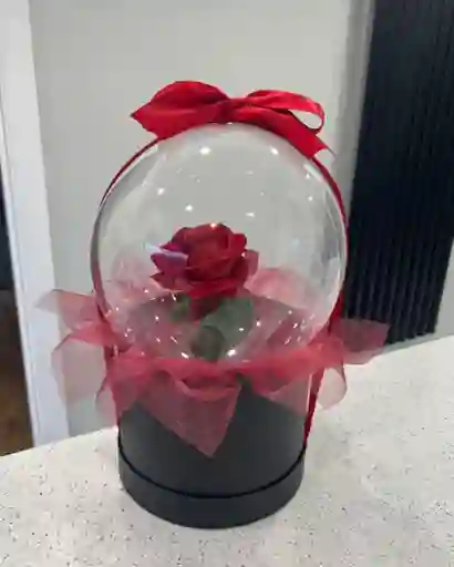 Caja Redonda Con Globo