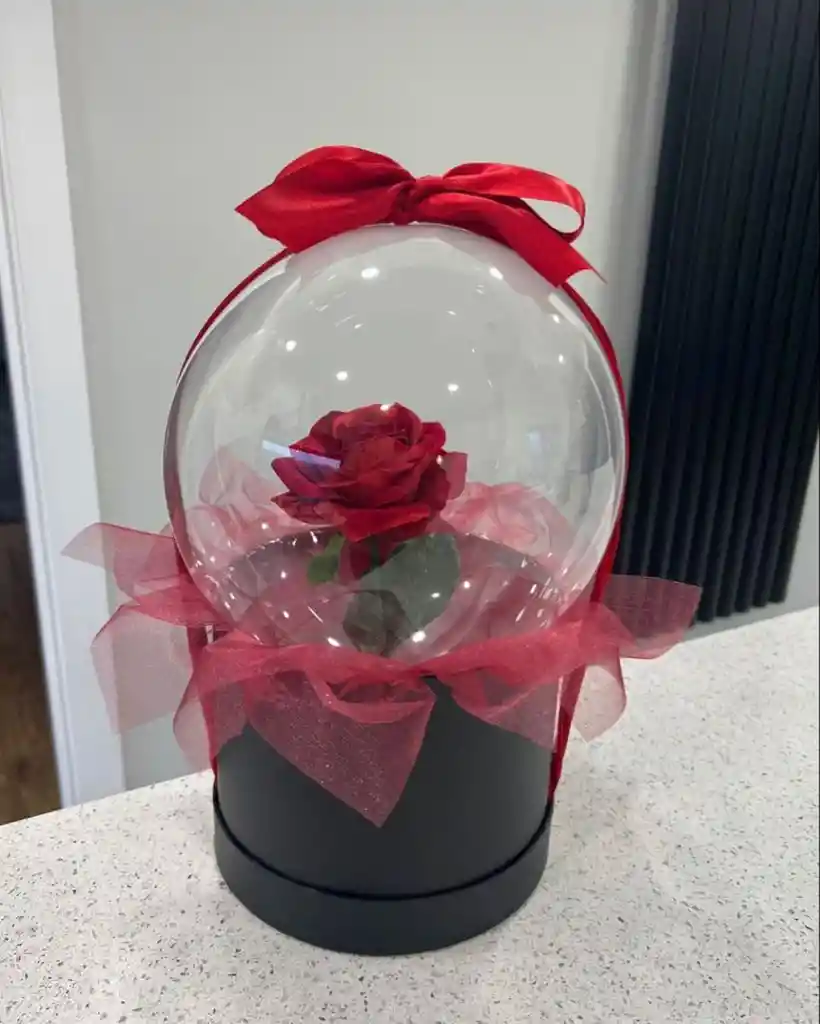 Caja Redonda Con Globo