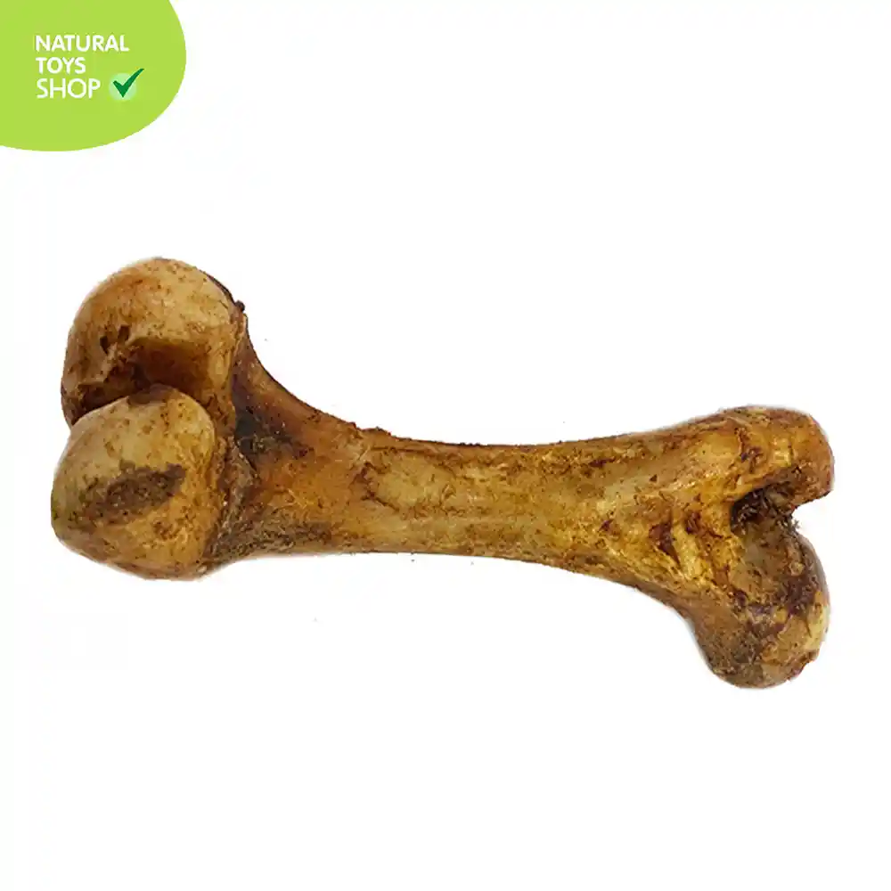 Hueso Femur De Cerdo