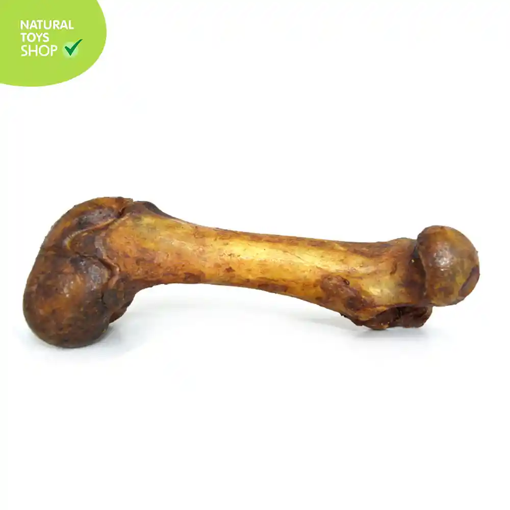 Hueso Femur De Cerdo