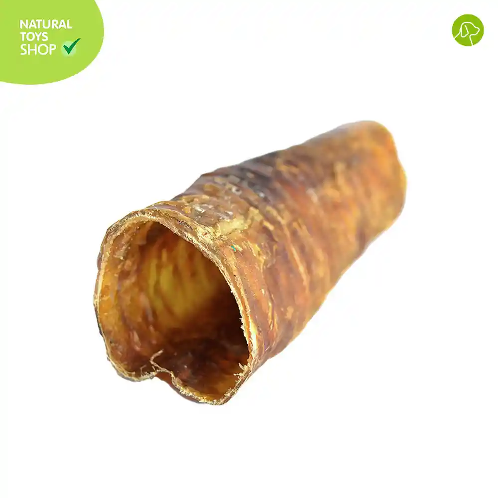 Traquea De Res Natural Y Deshidratada Mediana 6"