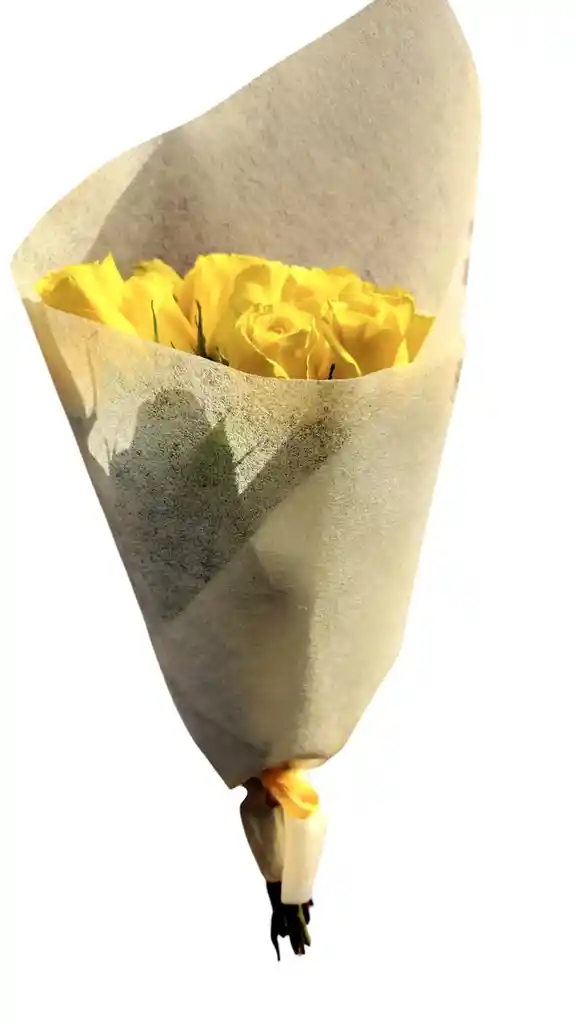 Destello De Alegria