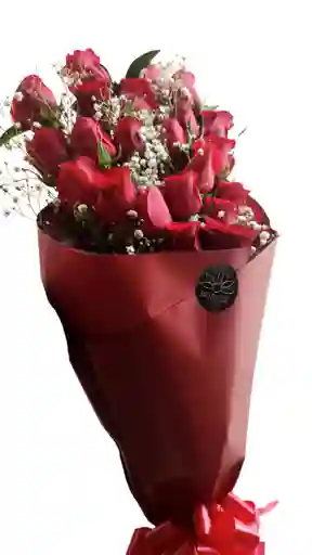 Amor Especial