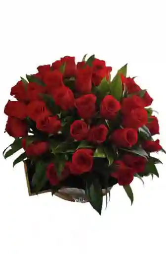 Encanto De Rosas
