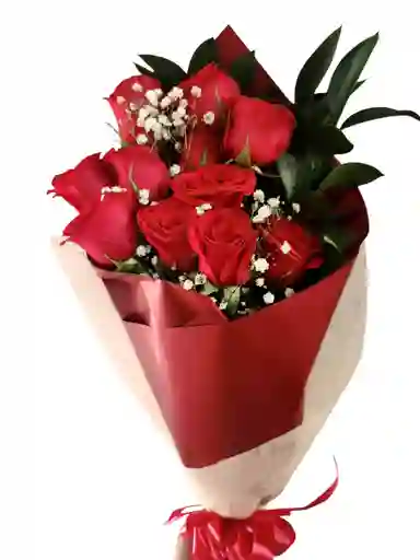 Amor Especial