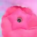 Peluche Proyector De Estrellas Star Belly Muñeco Luminoso