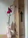 Orquídea Morada Intensa X1 Tallo