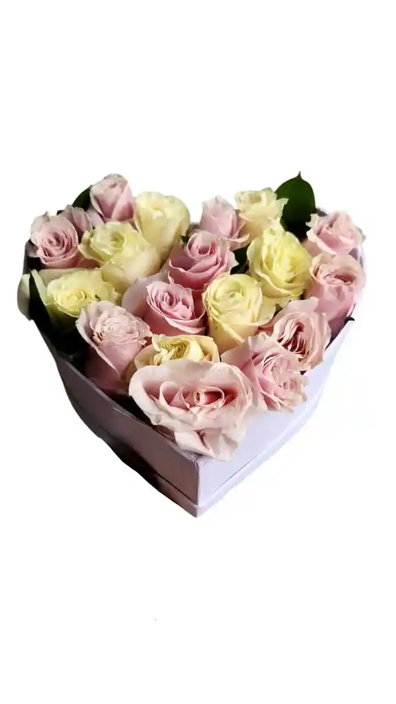 Corazon De Primavera