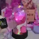 Ancheta Para Enamorar En Amor Y Amistad