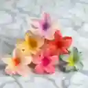 Pinza Hawiana