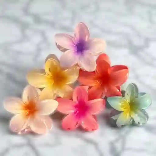 Pinza Hawiana