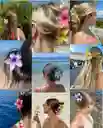 Pinza Hawiana