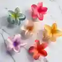 Pinza Hawiana